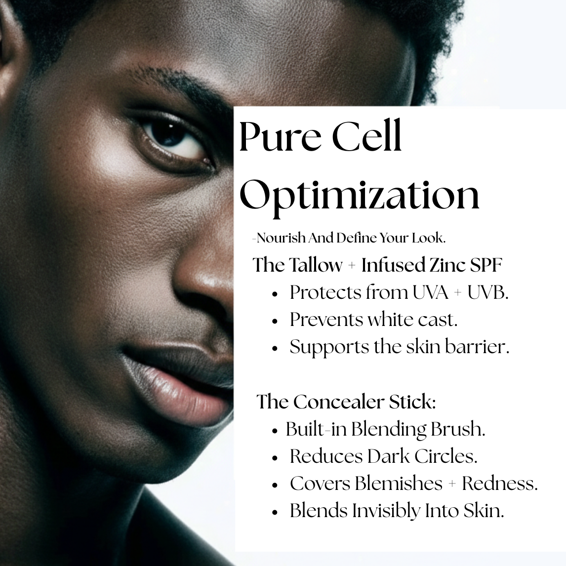 The Ascension Bundle